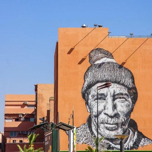 Fes to Marrakech desert tours