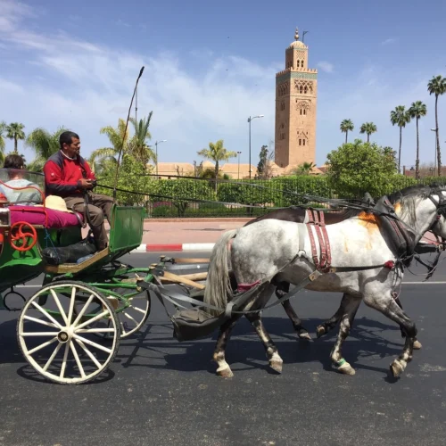 4 Days Desert Tour from Fes to Marrakech
