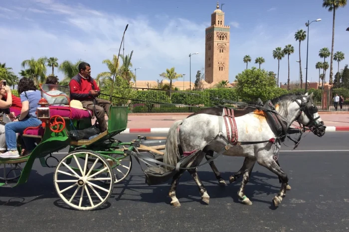 4 Days Desert Tour from Fes to Marrakech