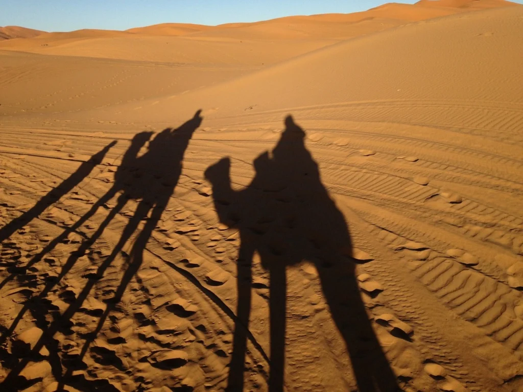 Merzouga Camel Ride